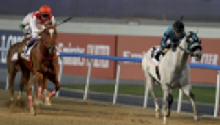 الجواد الأمريكي بلس كيو كافيه يفوز بخامس أشواط كأس دبي العالمي