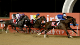 الجواد الياباني ألموند آي جت يحسم الشوط السابع من كأس دبي العالمي