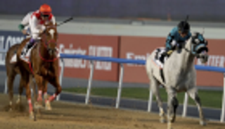 الجواد الإماراتي أولد برشان يفوز بثامن أشواط كأس دبي العالمي