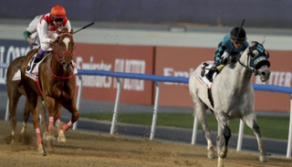 كأس دبي العالمي