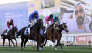 الجواد الإماراتي ثندر سنو يفوز بتاسع أشواط كأس دبي العالمي