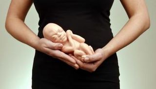 ولاية أمريكية تتجاهل تهديدات هوليوود وتقر قانونا ضد الإجهاض 