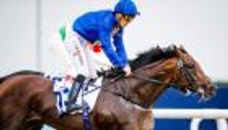 فيديو.. الجواد الإماراتي "ثندر سنو" آخر حصان ذهبي في كأس دبي العالمي