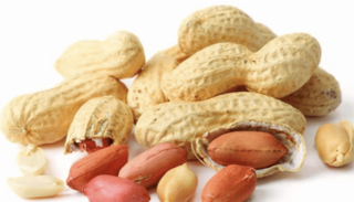 شركة الخطوط الجوية الكورية توقف تقديم الفول السوداني للركاب - أرشيفية