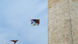 بالصور .. الطائرات الورقية تُزيّن سماء واشنطن في مهرجان أزهار الكرز