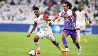 الجزيرة والعين- صورة أرشيفية 