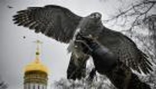 بالصور.. الصقور تحمي الكرملين من إزعاج الغربان