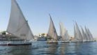 "الصحة العالمية" تحيي يومها بمراكب شراعية في النيل