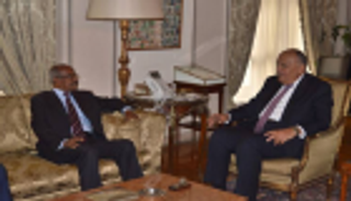 وزير خارجية إريتريا: نتطلع لتعزيز وتطوير العلاقات مع مصر