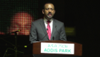 إثيوبيا بأسبوع.. عام على حكم "آبي أحمد" ونتائج تحقيقات الطائرة المنكوبة