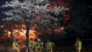 بالصور.. كوريا الجنوبية تجلي الآلاف.. وجهود مكثفة لاحتواء حرائق الغابات