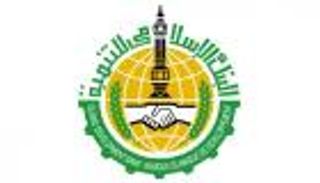 11.6 مليار دولار تمويلا من البنك الإسلامي إلى مصر في 45 عاما