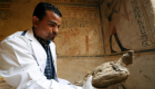 بالصور.. اكتشاف مقبرة تعود لعصر البطالمة في صعيد مصر 