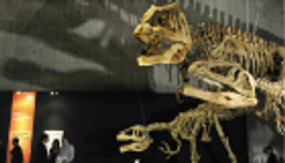 هيكل عظمي لديناصور للبيع في مزاد