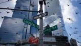 مليار طائر سنويا.. ضحايا ناطحات السحاب في أمريكا