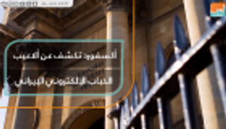 أكسفورد تكشف عن ألاعيب الذباب الإلكتروني الإيراني