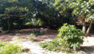 50 دولارا في الليلة للتمتع بسحر الطبيعة والسفاري بسريلانكا