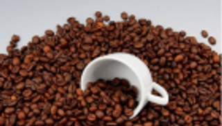 ستاربكس تفتتح فرعا كل 15 ساعة.. كيف تحولت الصين لأكبر مستهلك للبن؟