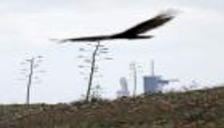 الطقس يرجئ إطلاق صاروخ يحمل قمرا صناعيا سعوديا