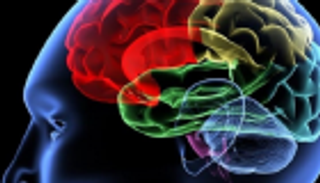 دواء للسرطان يعالج عدوى دماغية قاتلة