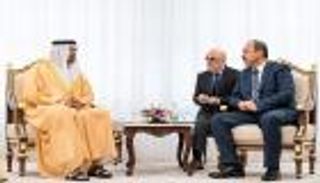 الإمارات وأوزبكستان تبحثان التعاون في مجالات التحديث والتطوير الحكومي