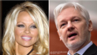 باميلا أندرسون بعد القبض على مؤسس ويكيليكس: أشعر بصدمة