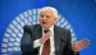 عالم بيئي: 70% من أنواع الطيور لم تعد موجودة