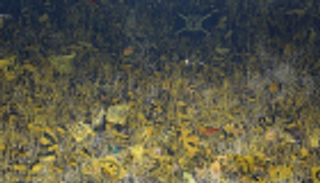 جماهير دورتموند تسجل رقما قياسيا في الملاعب الأوروبية