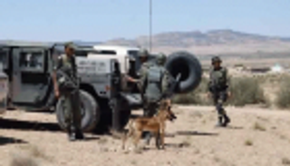 تونس تكشف تفاصيل دخول مسلحين ودبلوماسيين أجانب من ليبيا