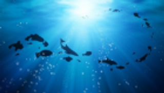 تقرير أممي: 90% من الغازات الدفيئة تذهب للمحيطات