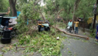 60 قتيلا حصيلة عواصف في غرب الهند