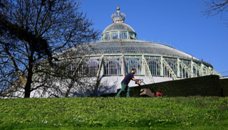 البيوت الزجاجية الملكية في بروكسل 