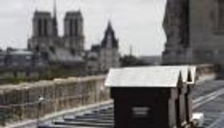 "معجزة" تنقذ نحل كاتدرائية نوتردام من الحريق المدمر