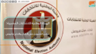 الهيئة الوطنية للانتخابات المصرية: تزامن التصويت في الداخل والخارج قانوني