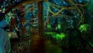 "تيرا" تسرد القصة الساحرة لعلاقة البشرية بالطبيعة في "إكسبو 2020"