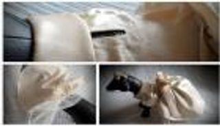 فساتين الوصيفات.. أحدث صيحات ملابس الكلاب في حفلات الزفاف