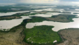 إنقاذ بحيرة تشاد بـ50 مليار دولار 