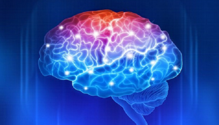 الموجات العصبية للمخ - أرشيفية