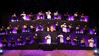 أوركسترا السلام للعود