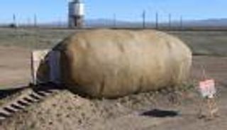 ثمرة بطاطس عملاقة تتحول إلى منزل للإيجار بـ247 دولارا في الليلة