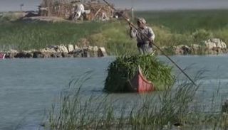 أمطار غزيرة تغيّر حياة الناس في الأهوار.