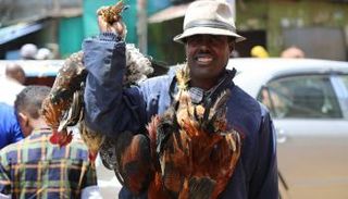 أحد باعة الدواجن في سوق بأديس أبابا