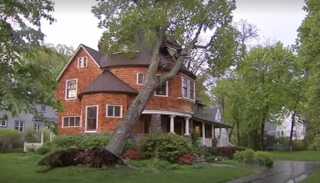 رياح تقتلع الأشجار في واشنطن