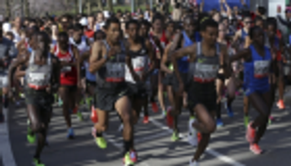 إنفوجراف.. الأرقام القياسية في ماراثون زايد الخيري في نيويورك