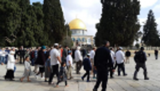 إحصائية: أكثر من ألفي مستوطن اقتحموا باحات الأقصى خلال 5 أيام