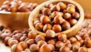 فوائد البندق للصحة.. يحسن المزاج وينشط الذاكرة