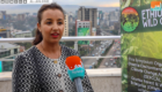 خبيرة لـ"العين الإخبارية": إعداد القهوة بكل طقوسها ثقافة إثيوبية