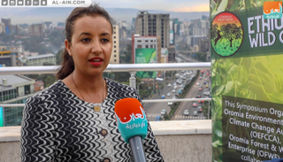 خبيرة القهوة الإثيوبية بيتلحم أينكلو