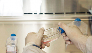 البكتيريا المقاومة للأدوية تهدد الملايين - صورة أرشيفية 