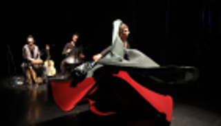 "تحيا الحياة" يفوز بجائزة مهرجان "ليالي" للمسرح في الأردن